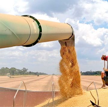 Codepro rechaza arancel cero para importar soya