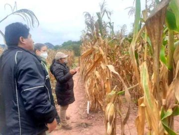 Varias zonas de Potosí enfrentan déficit de precipitaciones pluviales