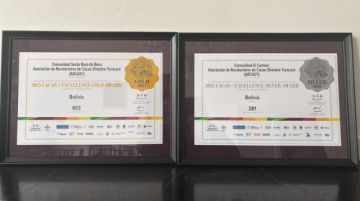 El cacao boliviano gana medallas de oro y plata en en el «Cacao of Excellence Awards»