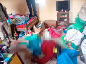 Anciana muere por broncoaspiración y su rostro es devorado por sus gatos