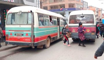 Alcaldesa promulga ley transitoria de pasajes de micros, minibuses y taxis