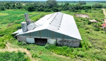 Corrupción: Detectan perdidas de 101 millones de bolivianos en B-Agro