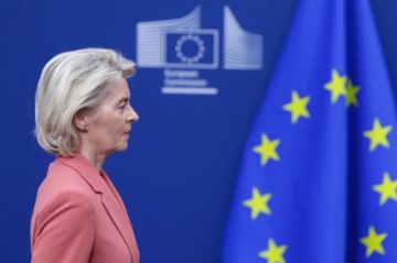 La Comisión Europea anuncia la entrada en vigor provisional del acuerdo UE-Mercosur