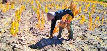 Gobernación reporta que seis municipios sufren por la falta de agua