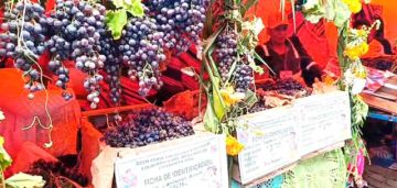 Municipio de Cotagauta vivió la XXVII versión de su Feria Frutícola y sus derivados 