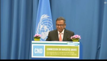 Bolivia alerta en Viena sobre el narcotráfico global 