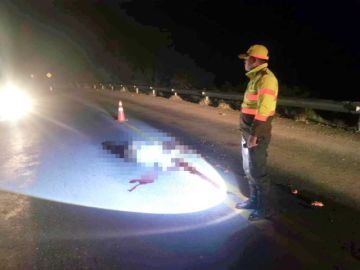 Encuentran a un hombre sin vida en plena carretera Tupiza–Villazón