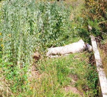 Hallan sin vida a anciano  entre sembradíos de haba