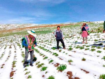 Las familias afectadas reciben ayuda por las  pérdidas a desastres 