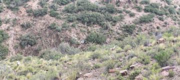 Dos trabajadores mueren tras embarrancamiento en Tupiza