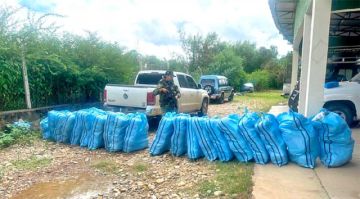 Fiscalía investiga hallazgo de marihuana en Tarija