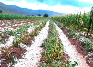 Más de 32 mil familias son las afectadas por desastres naturales