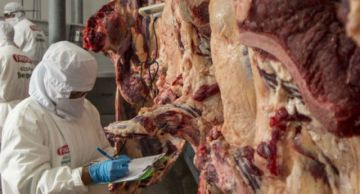 Bolivia inicia exportación de carne bovina al nuevo mercado de Egipto