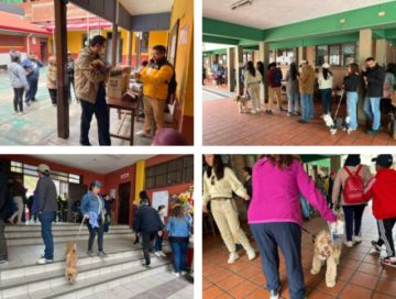 Familias aprovechan la jornada electoral para pasear a sus mascotas y emitir su voto