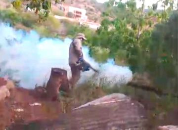 En Toro Toro coordinan acciones para eliminar al mosquito del dengue