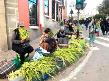 Venta de palmas en cercanías de los templos.