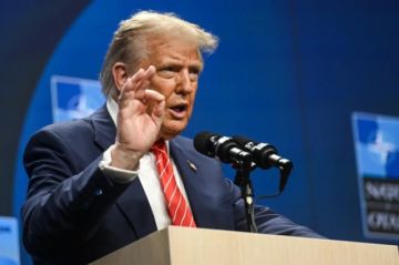 Trump asegura que no descarta retirar a EEUU de la OTAN: «Es un tigre de papel»