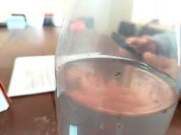 Sedes confirma que ya hay 51 casos de chikungunya en Potosí