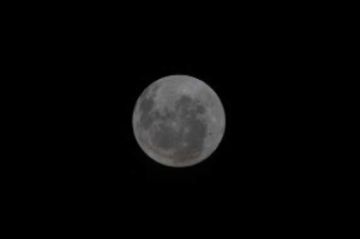 Tripulación de Artemis II verá un eclipse solar total 