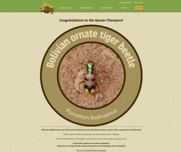 Premio del escarabajo tigre será invertido en tres acciones para su conservación 