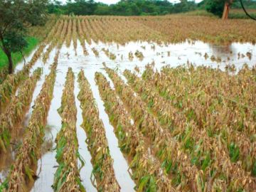 Lluvias continúan en las regiones del Departamento de Potosí