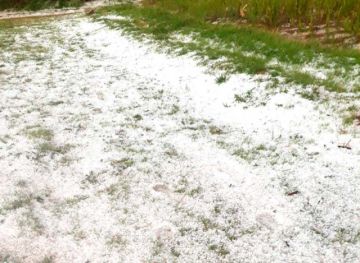 Granizada destruye gran parte de la producción agrícola de Ckara Ckara