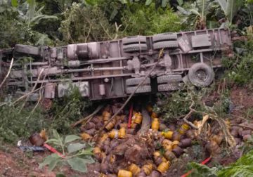 Un camión cargado con garrafas de gas se embarranca en Yungas