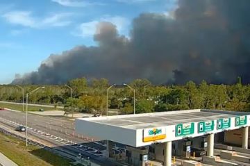 Un incendio forestal afecta 141 hectáreas en el suroeste de Florida, EE.UU.