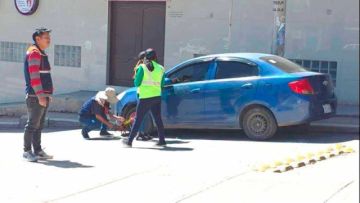 Transporte respalda trabajo de control de radicatorias