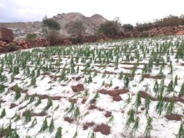 Invierten cerca de 5 millones de Bolivianos en ayuda a afectados por desastres naturales en Potosí