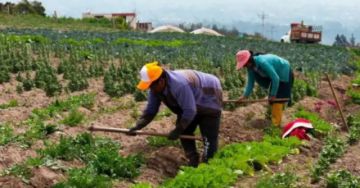 Todo sobre la Ley 1720: ¿Qué establece, a quién beneficia y qué no se modifica?