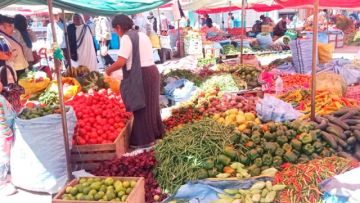 Alcaldía pretende frenar agio en productos de la canasta familiar