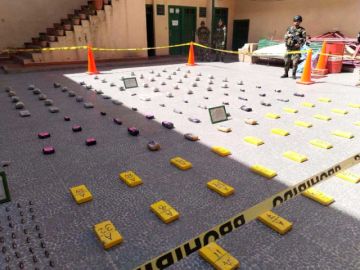 Felcn golpea al narcotráfico con incautaciones por más de Bs 1,4 millones