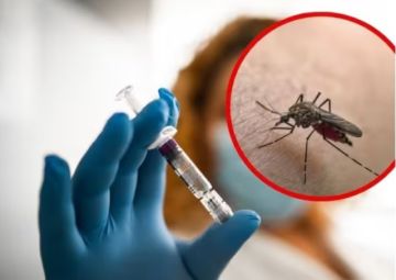 Sube a tres la cifra de fallecidos por fiebre amarilla en Santa Cruz