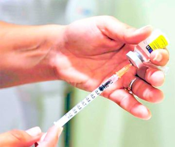 Chuquisaca: Cuatro municipios en riesgo por fiebre amarilla