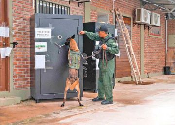 Caso Marset: Revelan caja fuerte con dinero y joyas