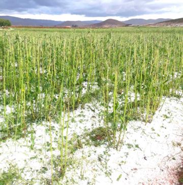 El Senamhi pronostica la caída de granizo a lo largo del fin de semana