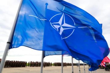 La OTAN responde ante amenazas de EEUU sobre España
