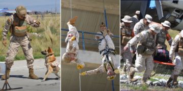 Fuerzas Armadas abren convocatoria al servicio voluntario de salvamento y rescate