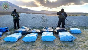 FELCN halla 200 paquetes de marihuana durante operativo en Potosí