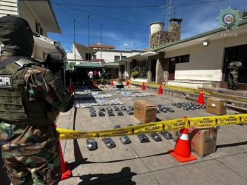 FELCN detiene la comercialización de susbstancias valoradas en  $us 408.352