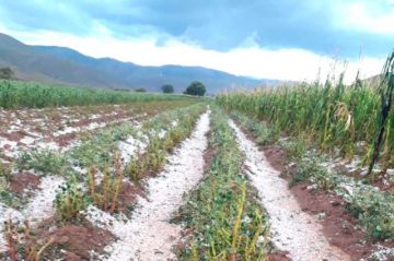 Más de 35 mil familias fueron las afectadas por desastres naturales