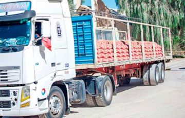 Denuncian a exalcaldesa  y exfuncionario por las bolsas de cemento 