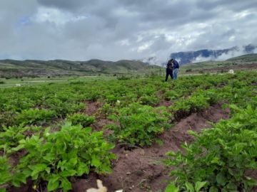 Gobierno dice que Decreto 5613 establece lineamientos sobre la Amazonía