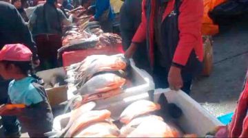 Intendencia Municipal cumple control sorpresa en el mercado Abasto  