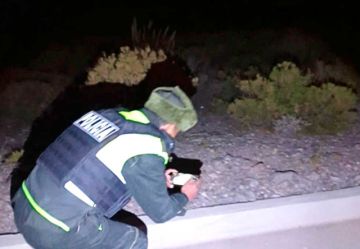 Jucus roban explosivos  valuados en $us 55.000 