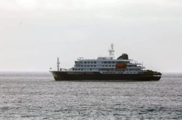 España: La OMS cree que la infección con hantavirus se produjo fuera del crucero