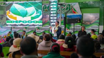 Gobierno emite resolución con modificaciones para regular el sector cocalero