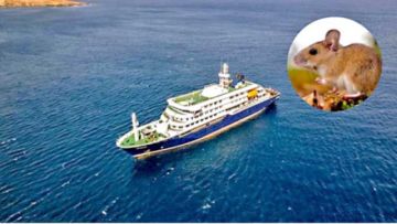 Cabo Verde deniega  ingreso de barco con  casos de hantavirus