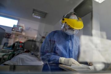 Argentina investiga si los turistas del crucero contrajeron hantavirus en este país, Chile o Uruguay